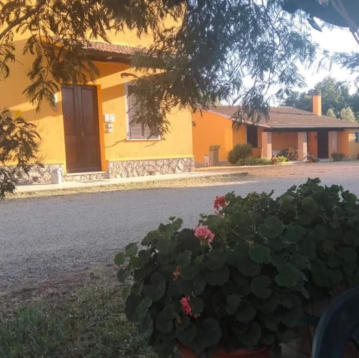 Agriturismo Da Remo Magliano in Toscana Exterior photo